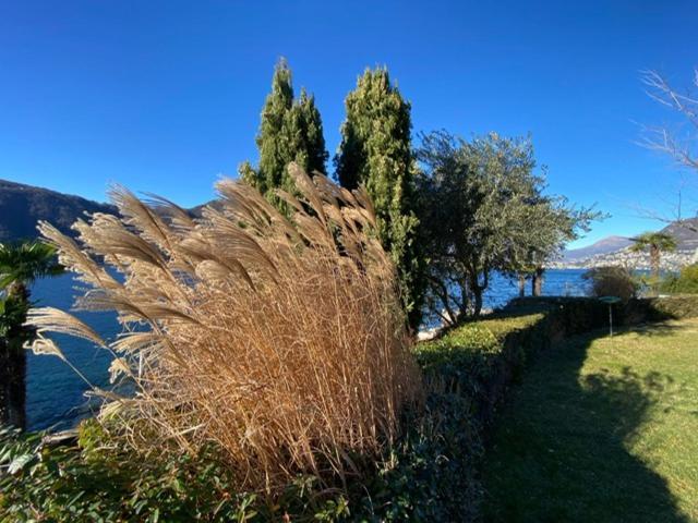 Ferien Am Luganer See Mit Seesicht Bissone Exterior foto
